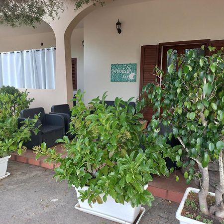 Mivida "Le Stanze Di Ada" Panzió San Teodoro  Kültér fotó
