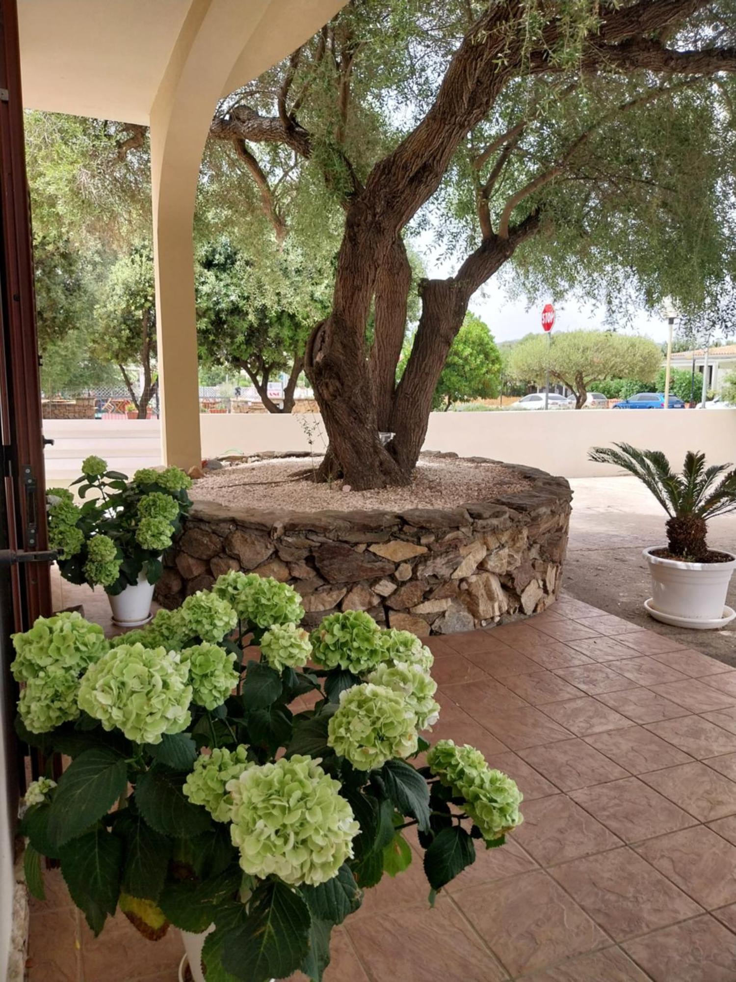 Mivida "Le Stanze Di Ada" Panzió San Teodoro  Kültér fotó